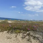 Oasis