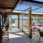 Oasis *