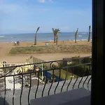Oasis *